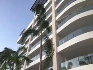 boracay-2016-proyecto-10